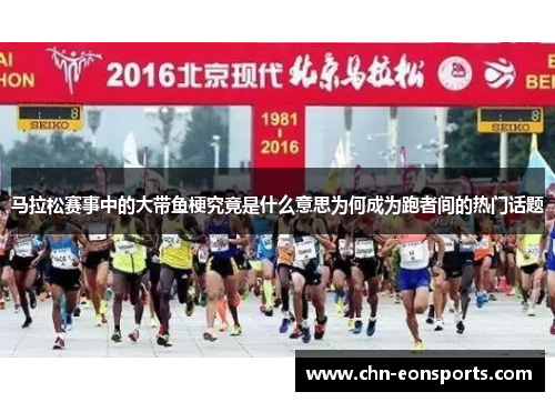 马拉松赛事中的大带鱼梗究竟是什么意思为何成为跑者间的热门话题